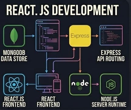React.js Development